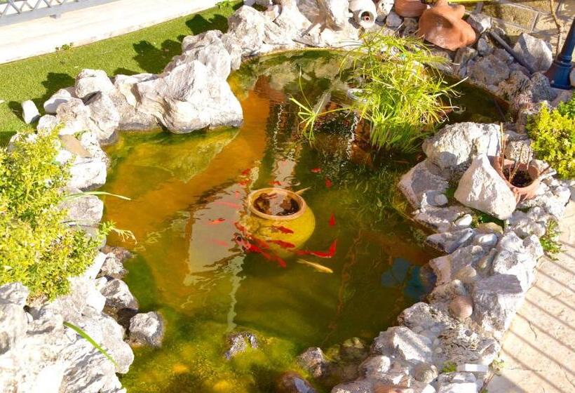 住宿加早餐  Da Zia Piera