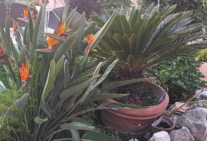 住宿加早餐  Da Zia Piera