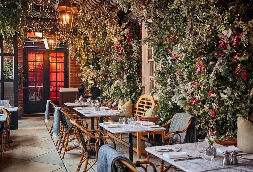 فندق The Bloomsbury