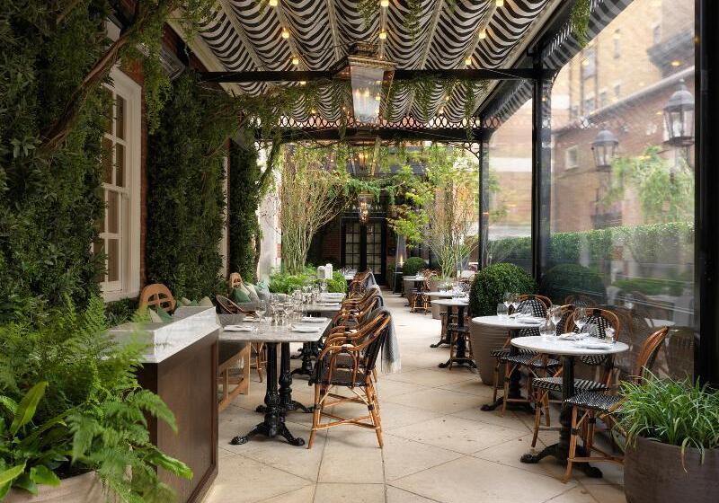 فندق The Bloomsbury