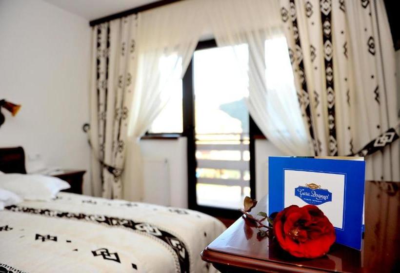 Pensiunea Casa Doamnei Voronet