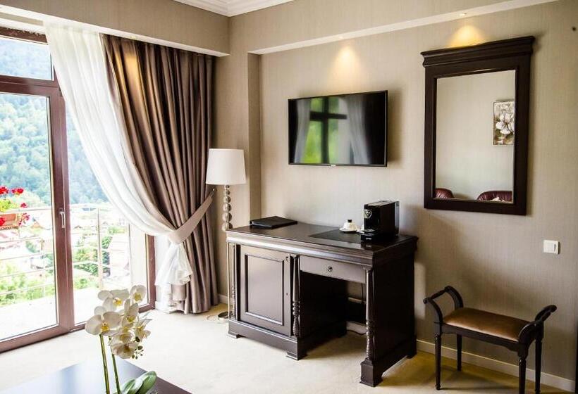 استراحتگاه Carpat Inn