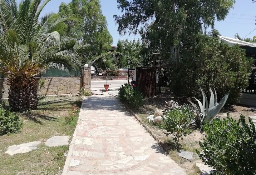 هتل Green House Boğaziçi – Dodo House