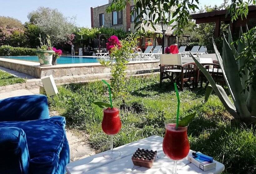 هتل Green House Boğaziçi – Dodo House