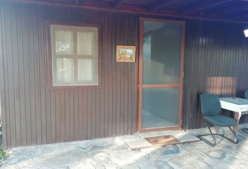 هتل Green House Boğaziçi – Dodo House