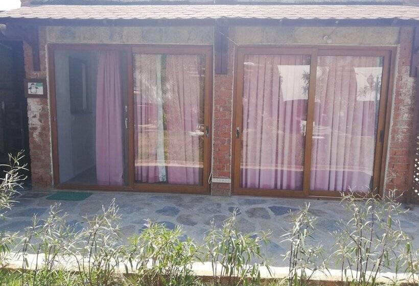 هتل Green House Boğaziçi – Dodo House