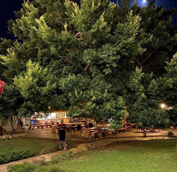 فندق Marvel Tree