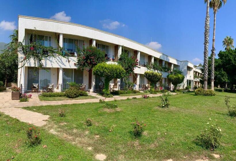 فندق Marvel Tree