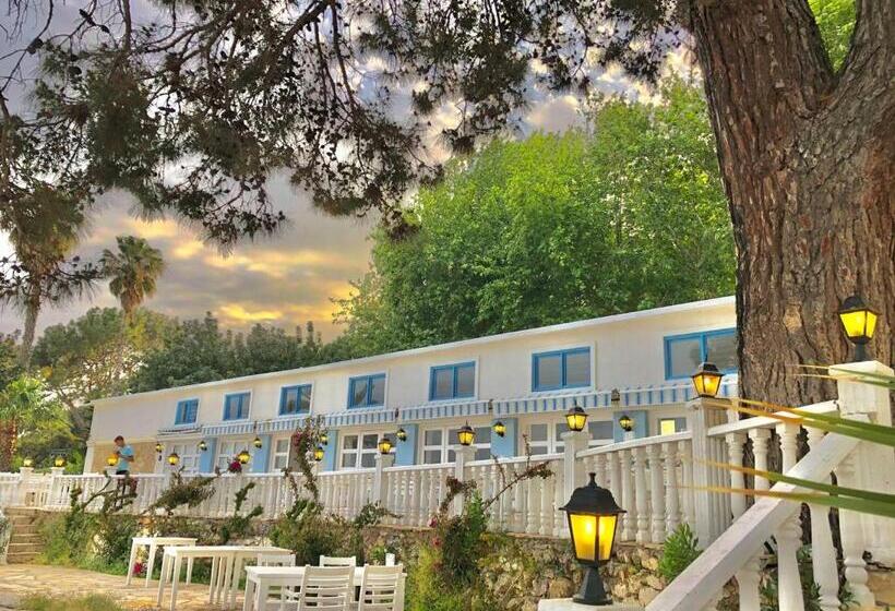 فندق Marvel Tree