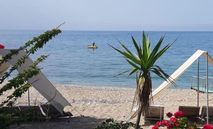 فندق Marvel Tree