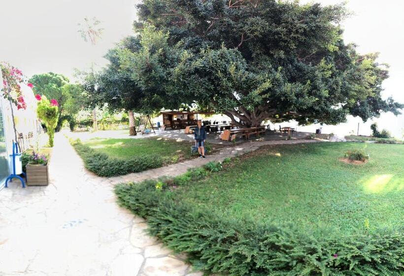 فندق Marvel Tree