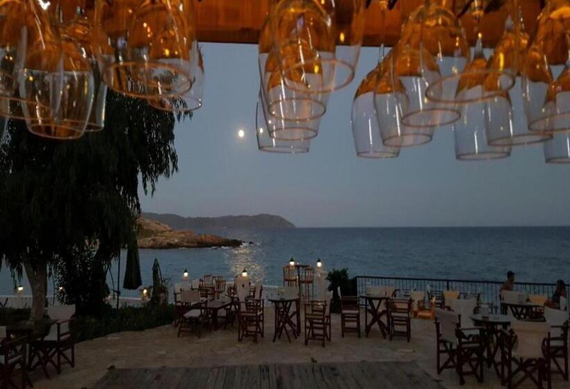 فندق Marvel Tree