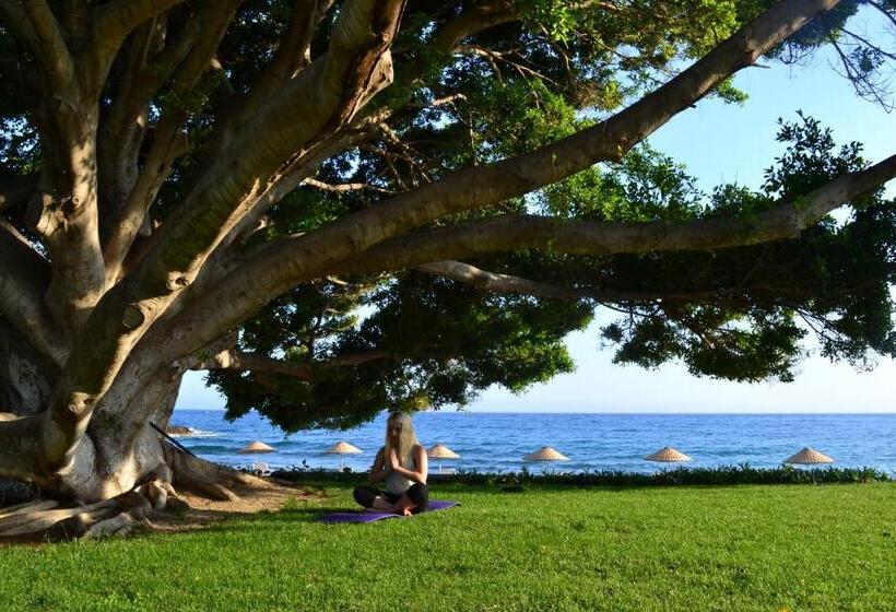 فندق Marvel Tree