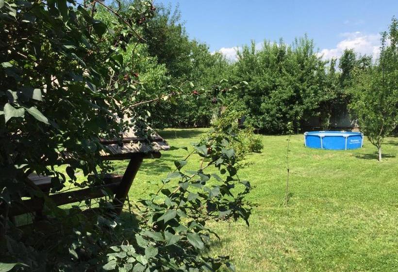 بنسيون Guest House