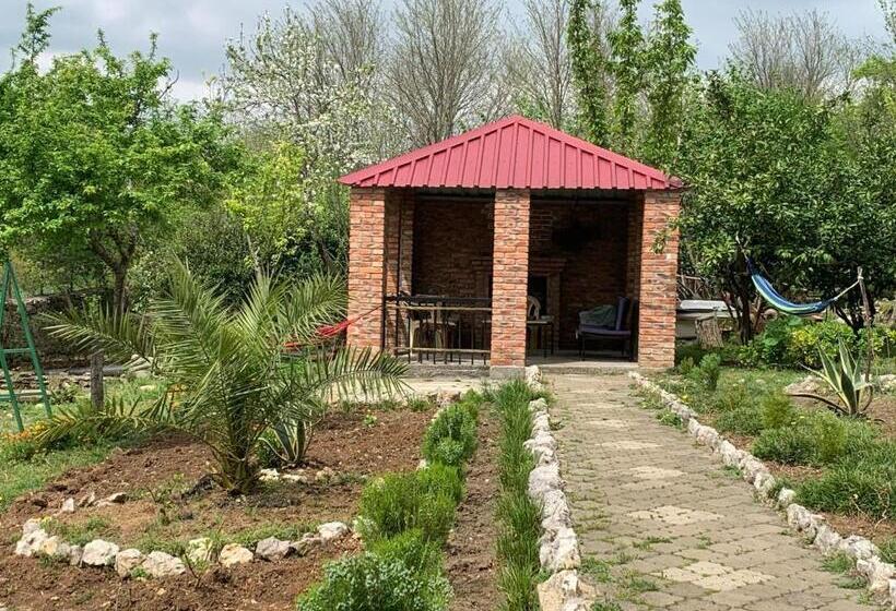 پانسیون Tsivi Tba