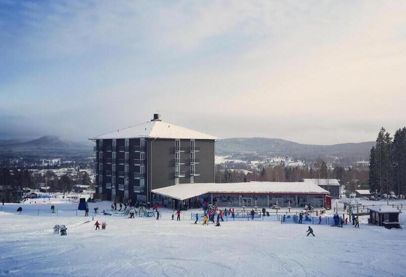 Bergshotellet
