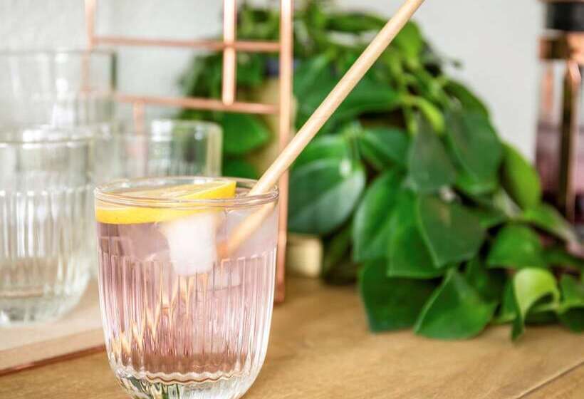 Hotel Ibis Styles Arles Palais Des Congrès