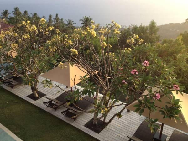 هتل The Puncak Lombok