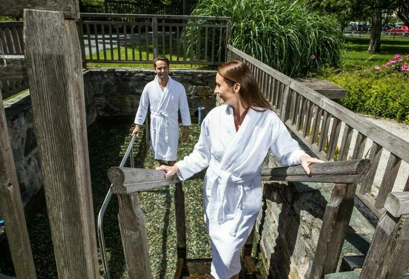 Отель Optimamed Gesundheitsresort Weißbriach Gmbh