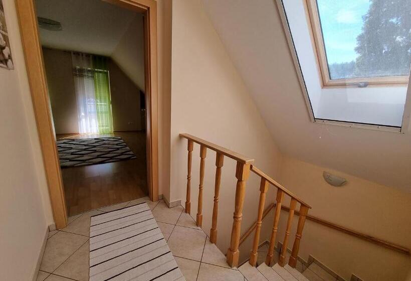 ペンション Doni Prémium Apartmanház