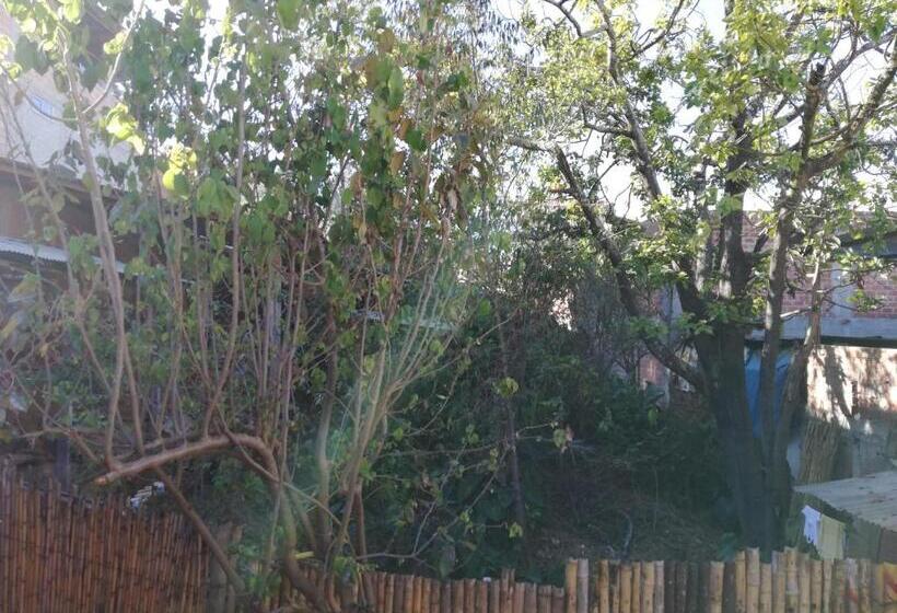 הוסטל Aventura Chachapoyas Backpackers