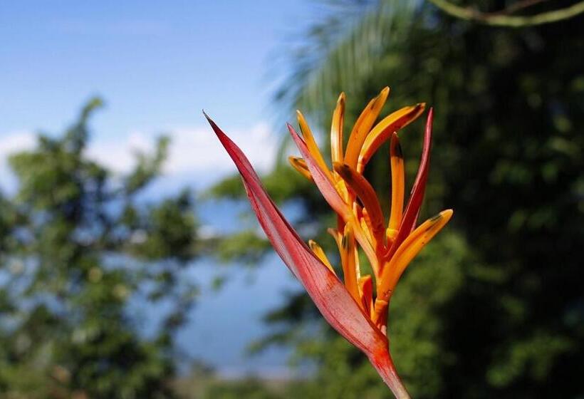 فندق El Paraiso Azul