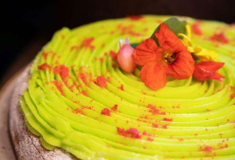 בית מלון כפרי The Major