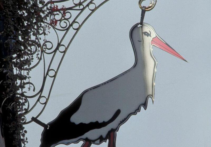 هتل Ibis Strasbourg Sud La Vigie