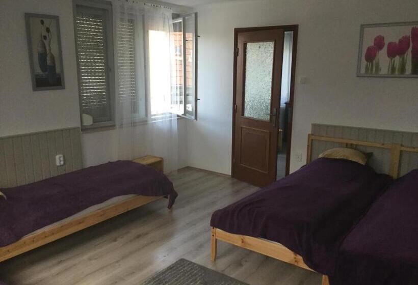 פנסיון Avas Apartman