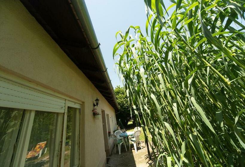 پانسیون Part Apartman