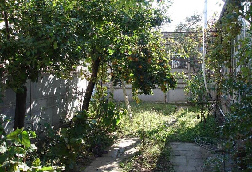 پانسیون Guest House Deda Lali