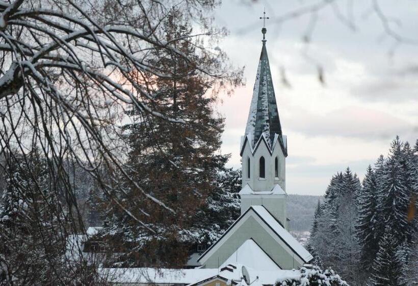 پانسیون Penzion Flora