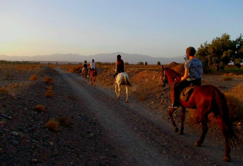 هتل Aramja Luxury Camp