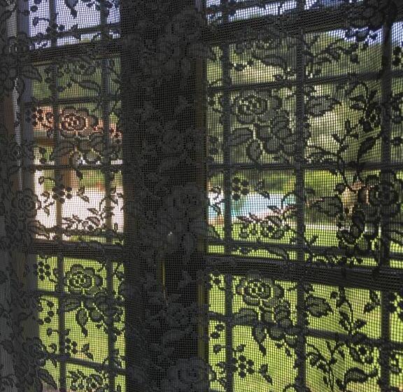 Casale La Fata  Tipico Toscano Immerso Nelle Colline Tra Lucca E Versilia, 6 Appartamenti Indipenden
