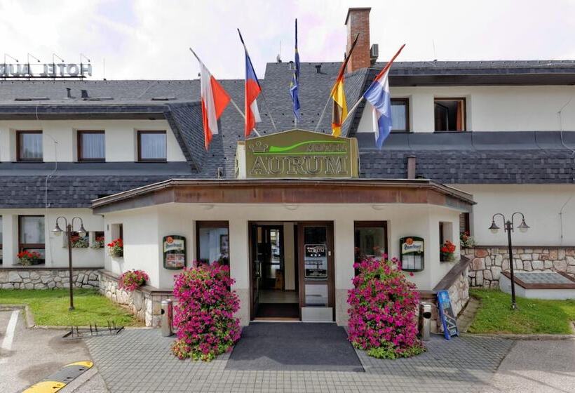 هتل Aurum Černý Důl