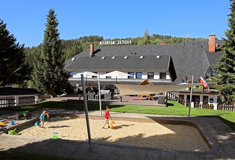 هتل Aurum Černý Důl