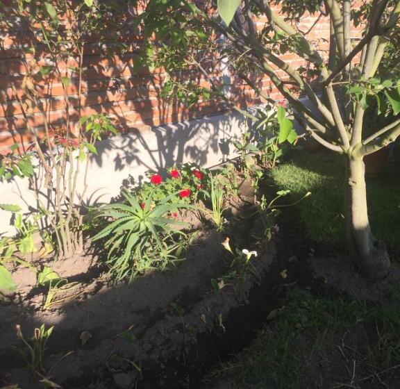 هتل Tababela Airport B&b