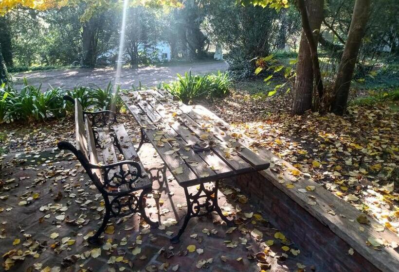 هاستل Posada A Viagem