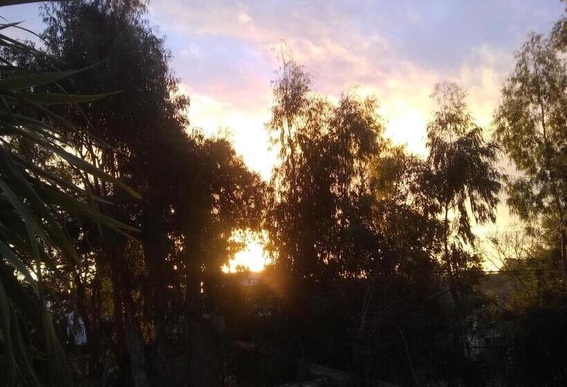 هاستل Posada A Viagem