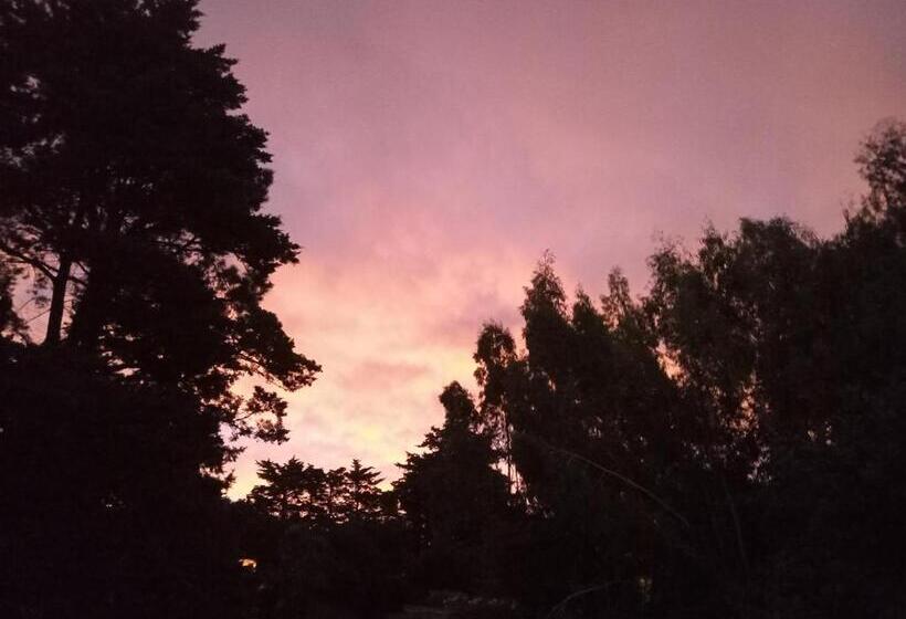 هاستل Posada A Viagem