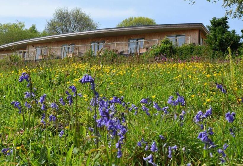 مبيت وإفطار The Sanctuary Cornwall