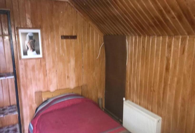 הוסטל Backpacker 644