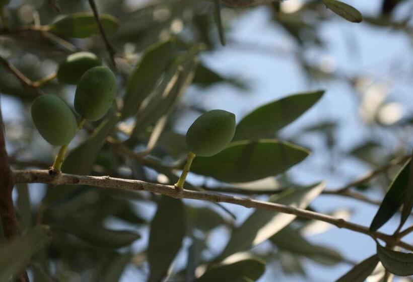 ホテル Agriturismo Tenuta Margherita