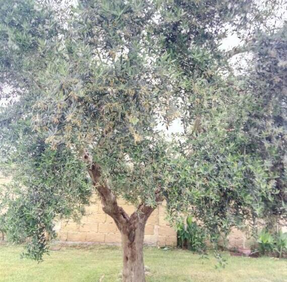 ホテル Agriturismo Tenuta Margherita