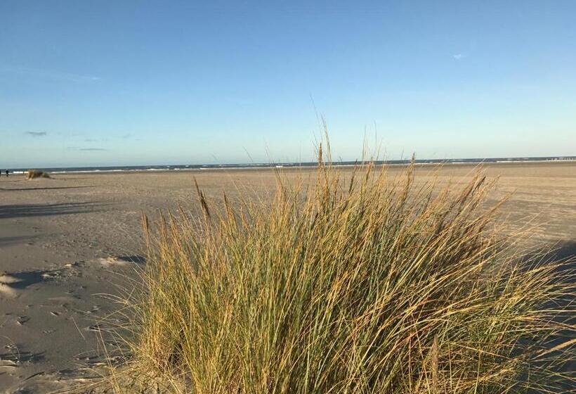 فندق Om De Noord   Beach, Bed & Breakfast
