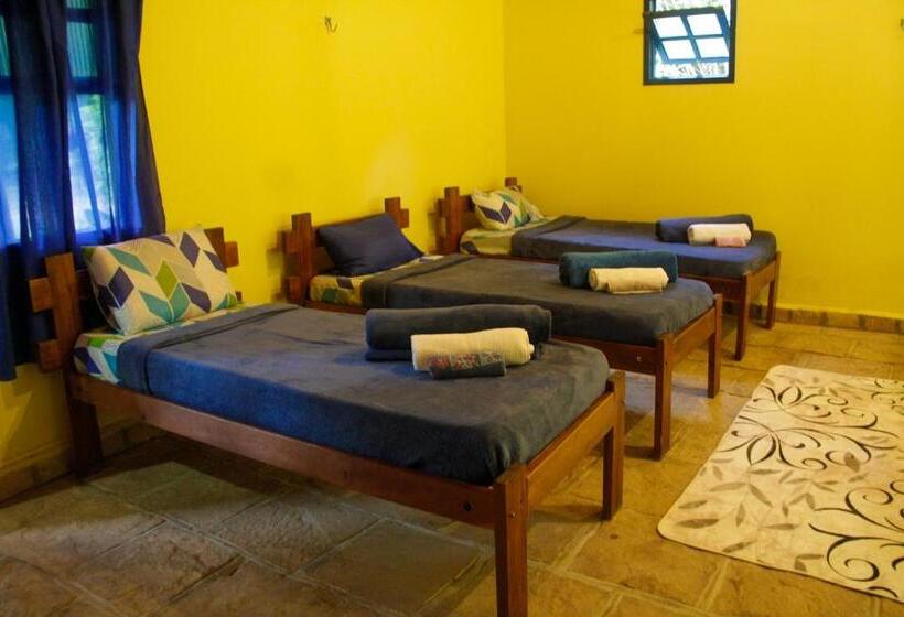 הוסטל Espaço Vaidya Ayurveda Pousada