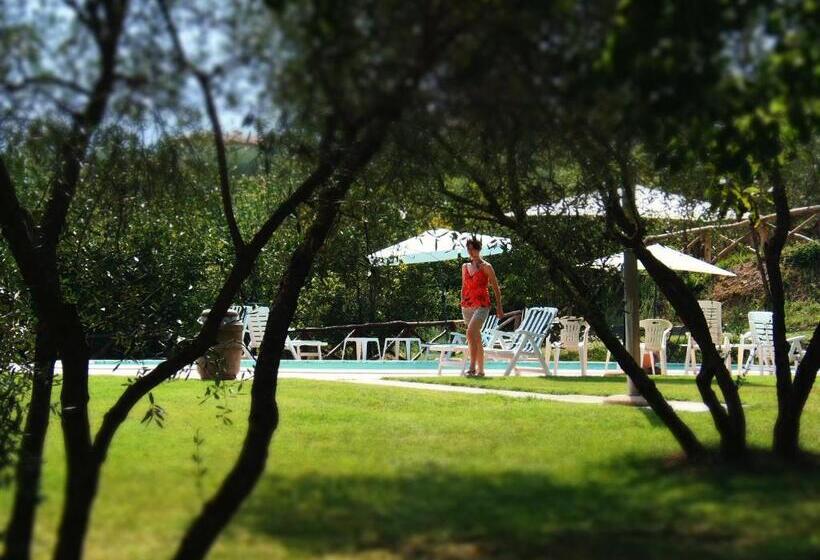 酒店 Agriturismo La Capacciola