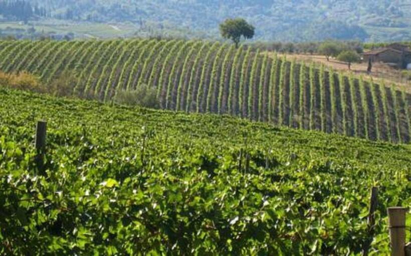 호텔 Terre Di Melazzano   Le Case Di Chiara