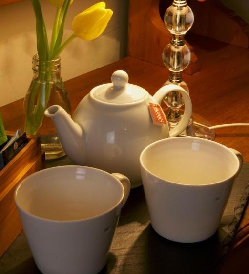 פנסיון Dolffanog Fawr