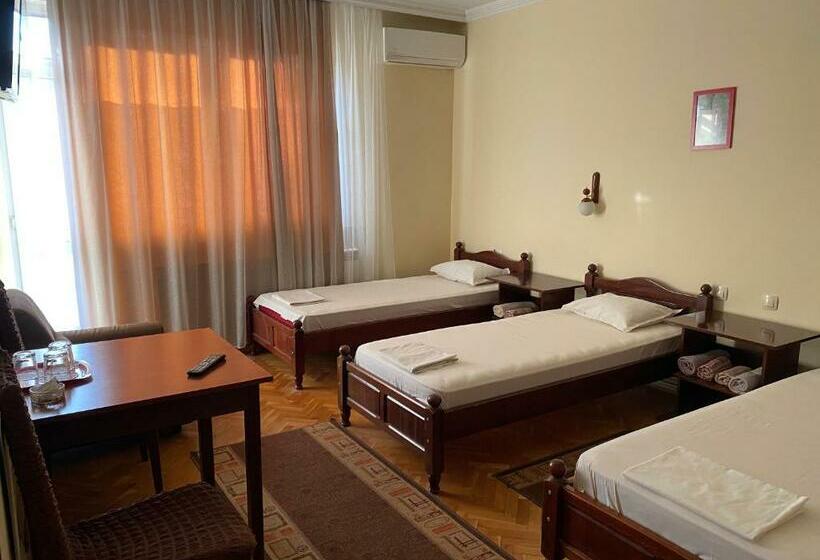 ペンション Family Hotel May